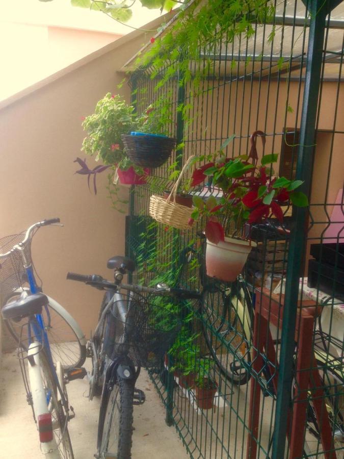 Apartment Dunja Djenovici Herceg Novi Eksteriør billede