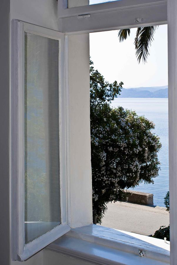 Apartment Dunja Djenovici Herceg Novi Eksteriør billede